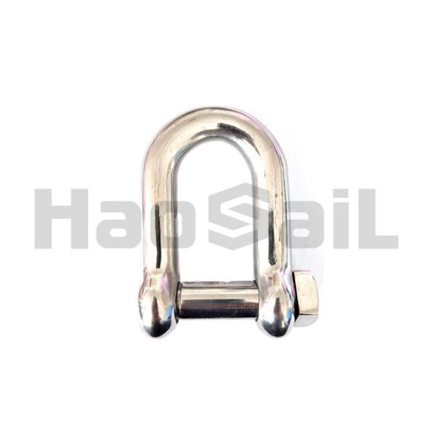 Picture of D Shackle with Square Head Pin